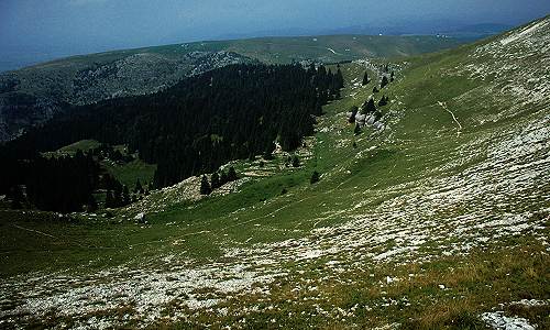 monte Fior Castelgomberto
