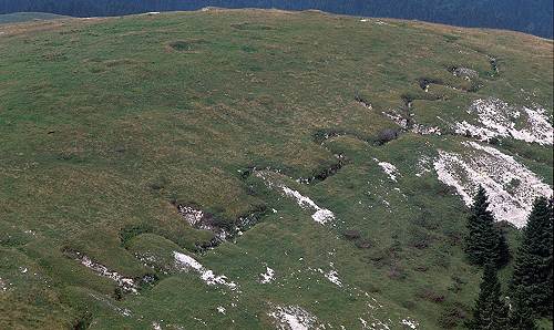 monte Fior Castelgomberto