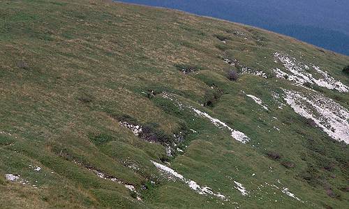 monte Fior Castelgomberto