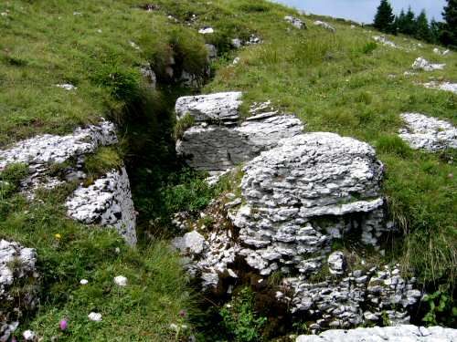 monte Fior Castelgomberto