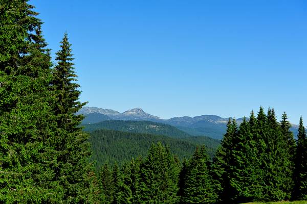 monte Fior Castelgomberto trincee e campi di battaglia, Melette di Foza