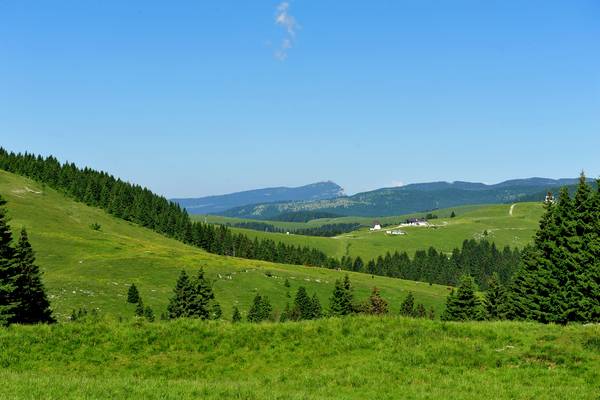 monte Fior Castelgomberto trincee e campi di battaglia, Melette di Foza