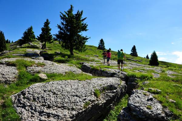 monte Fior Castelgomberto trincee e campi di battaglia, Melette di Foza