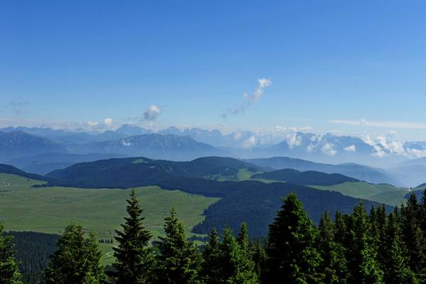 monte Fior Castelgomberto trincee e campi di battaglia, Melette di Foza