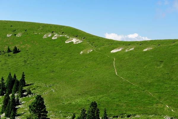monte Fior Castelgomberto trincee e campi di battaglia, Melette di Foza