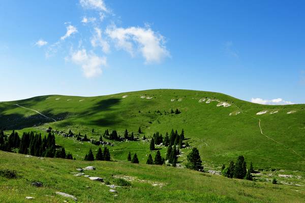 monte Fior Castelgomberto trincee e campi di battaglia, Melette di Foza