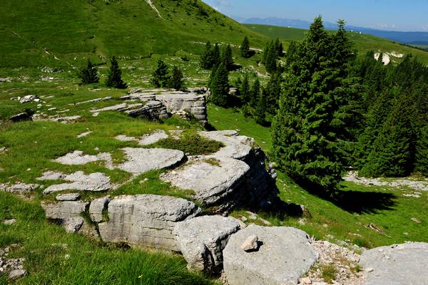 monte Fior Castelgomberto trincee e campi di battaglia, Melette di Foza