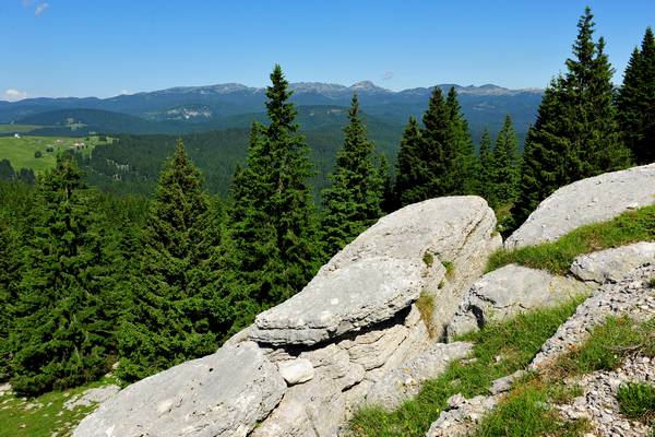 monte Fior Castelgomberto trincee e campi di battaglia, Melette di Foza