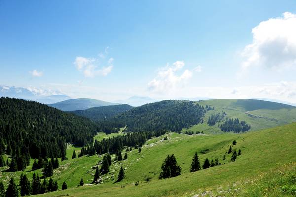 monte Fior Castelgomberto trincee e campi di battaglia, Melette di Foza