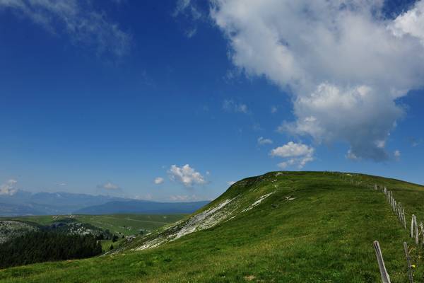 monte Fior Castelgomberto trincee e campi di battaglia, Melette di Foza