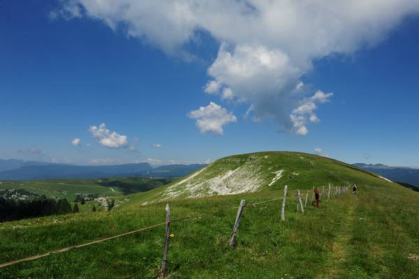 monte Fior Castelgomberto trincee e campi di battaglia, Melette di Foza
