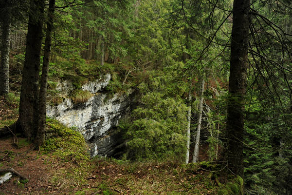 Voragine Stonhaus a Roana monte Erio