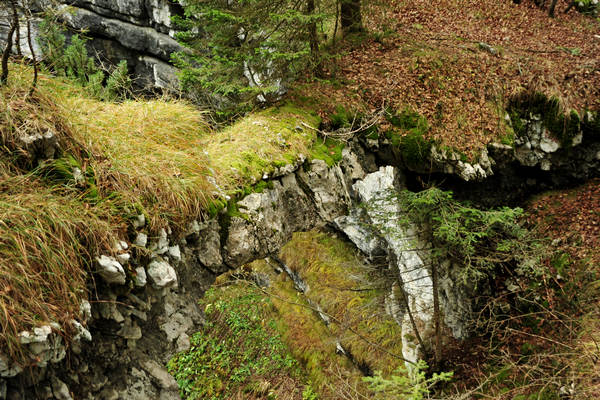 Voragine Stonhaus a Roana monte Erio