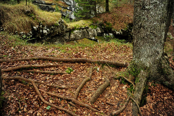 Voragine Stonhaus a Roana monte Erio