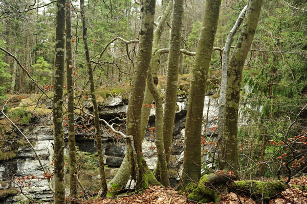 Voragine Stonhaus a Roana monte Erio