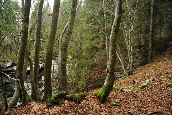 Voragine Stonhaus a Roana monte Erio