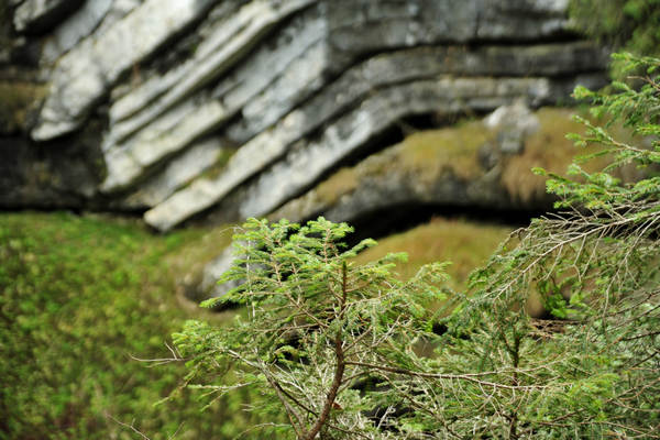 Voragine Stonhaus a Roana monte Erio
