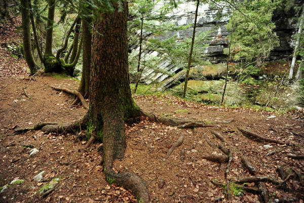 Voragine Stonhaus a Roana monte Erio