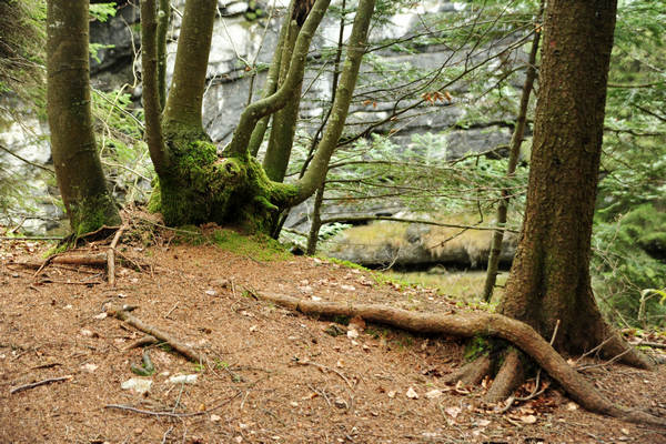 Voragine Stonhaus a Roana monte Erio