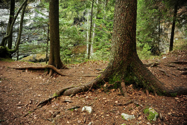 Voragine Stonhaus a Roana monte Erio