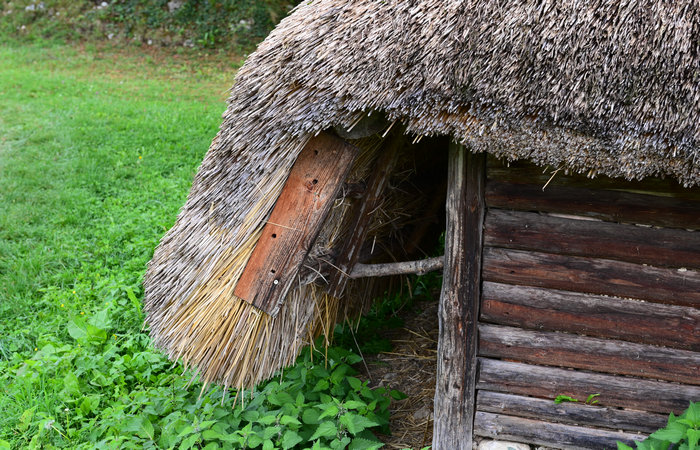 Sito archeologico del Bostel a Castelletto di Rotzo, Altopiano di Asiago Sette Comuni