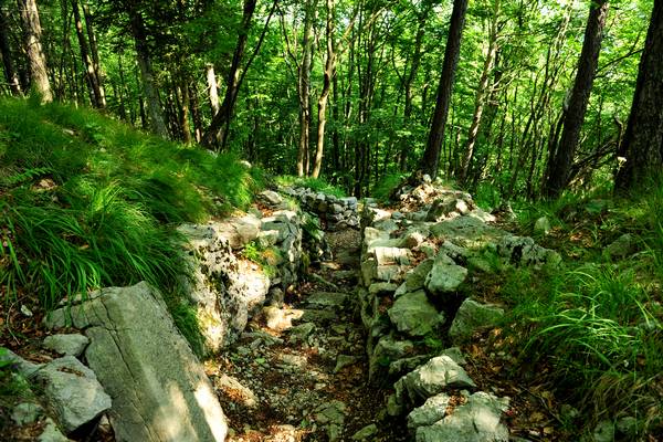 Sentiero storico-ambientale dal cimitero dei Crosati al monte Cimone di Tonezza