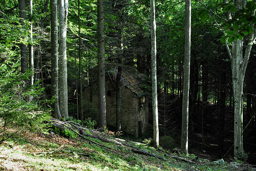 Sentiero fogazzariano a Tonezza del Cimone