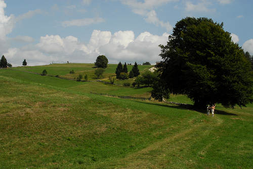 Excalibur, Valle dei Ciliegi, Tonezza del Cimone