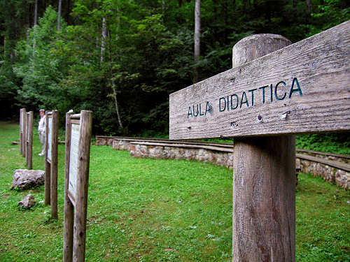 schede didattiche aula didattica graffiti val d'Assa Canove Roana Asiago