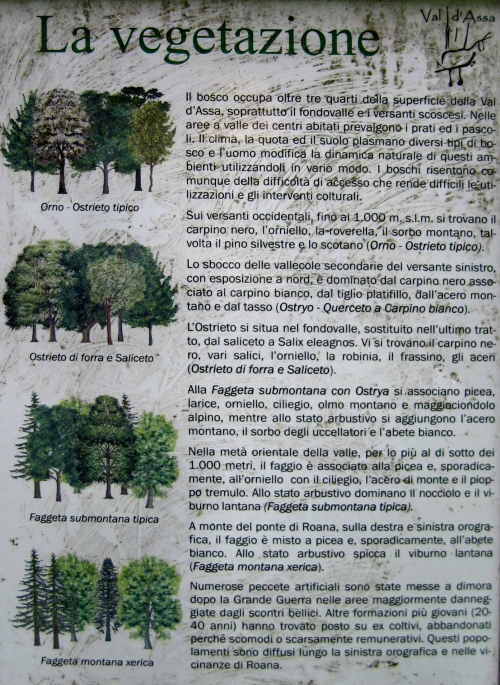 schede didattiche aula didattica graffiti val d'Assa Canove Roana Asiago