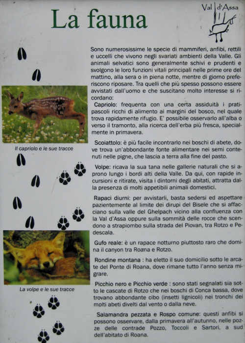 schede didattiche aula didattica graffiti val d'Assa Canove Roana Asiago