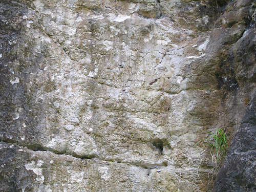 Graffiti della Val d'Assa - Roana - Altopiano di Asiago