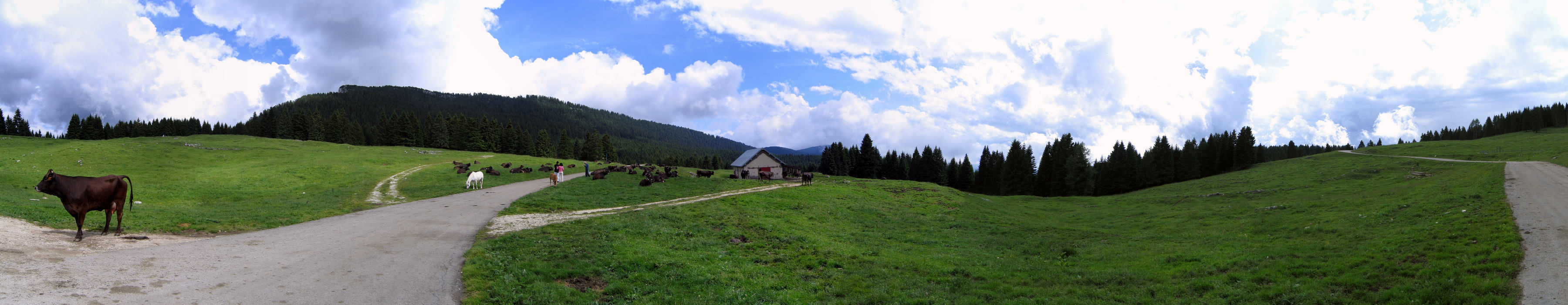 Casera Campolongo Cima Verena - fotografia panoramica
