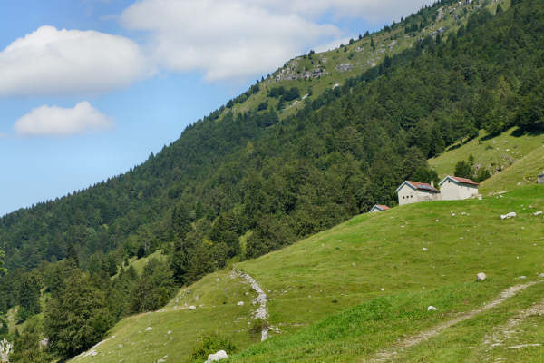 Mtb Altipiani, 100 km dei forti fortezze bike tour megabike gran fondo G.Simoni marathon