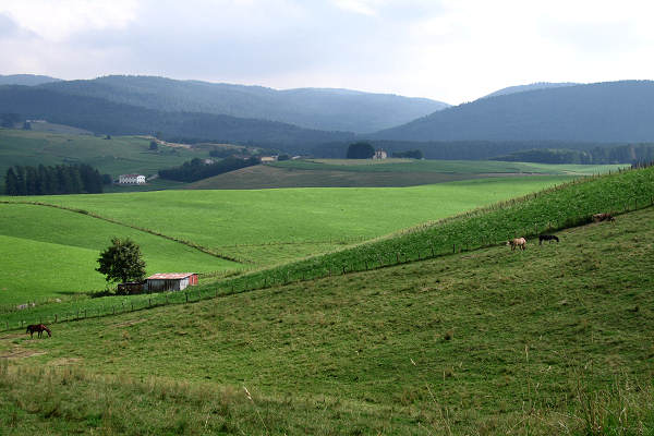 pista ciclabile del trenino