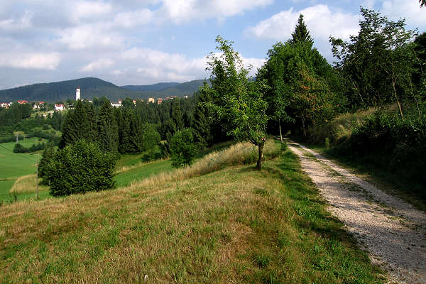 pista ciclabile del trenino