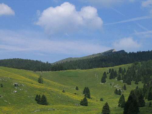 Cima Larici - Malga Porta Manazzo