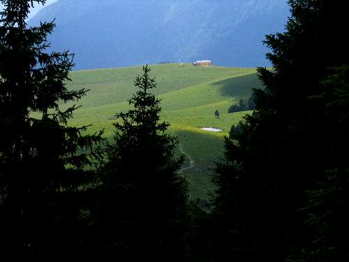 Cima Larici - Malga Porta Manazzo