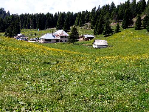 Cima Larici - Malga Porta Manazzo