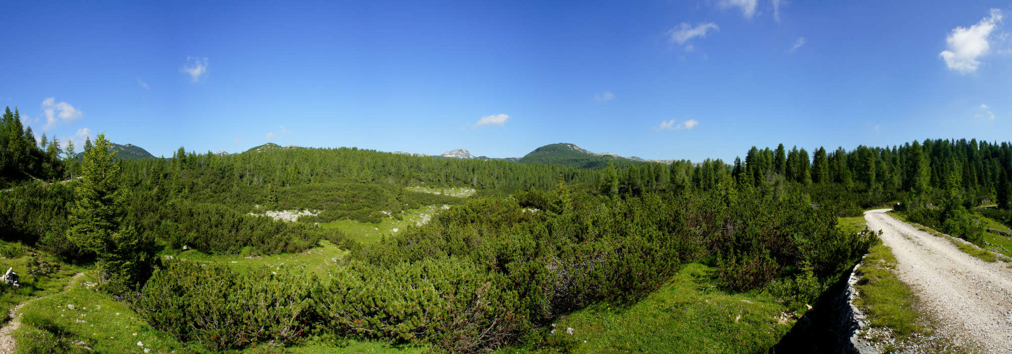 Campomulo bivio Italia Campigoletti Ortigara Lozze