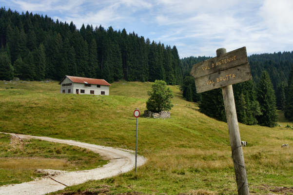 mtb Enego Valbrutta Marcesina Lisser