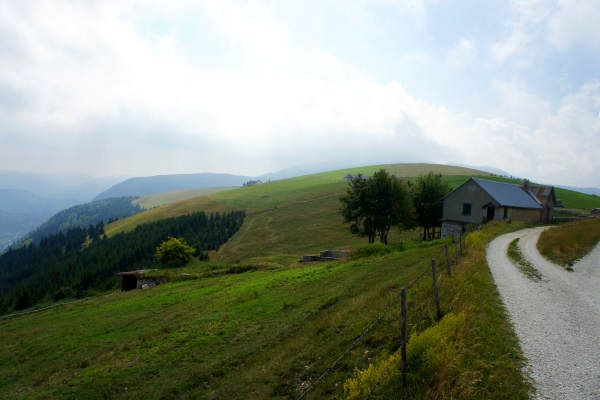 mtb Enego Valbrutta Marcesina Lisser