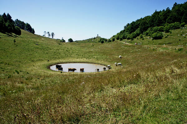 Asiago, strada delle Malghe, 