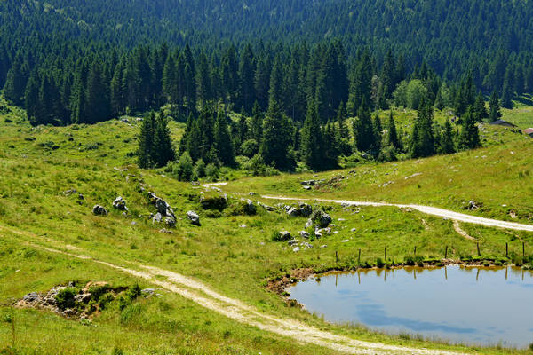 Asiago, strada delle Malghe, 