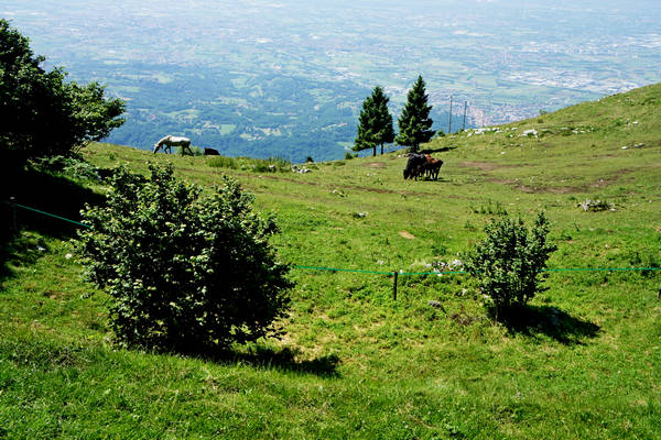Asiago, strada delle Malghe, 