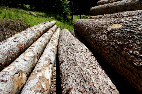 Asiago, strada delle Malghe, 