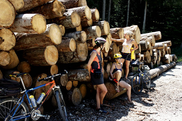 Asiago, strada delle Malghe, 