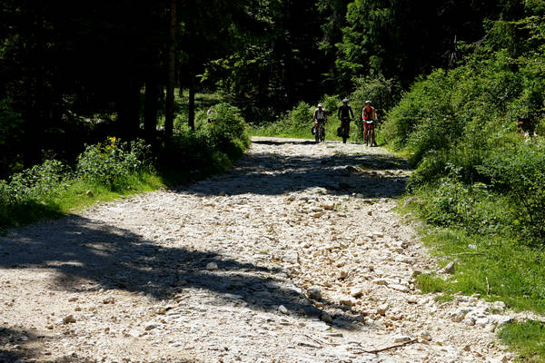 Asiago, strada delle Malghe, 