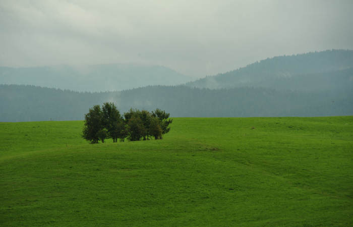 altopiano di Asiago Sette Comuni