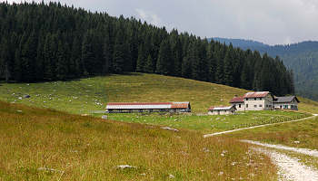 malga Campo Cavallo a Marcesina